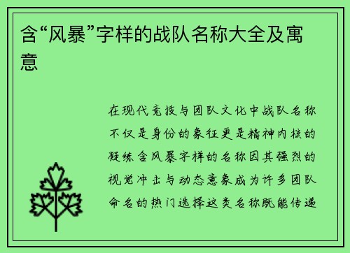 含“风暴”字样的战队名称大全及寓意